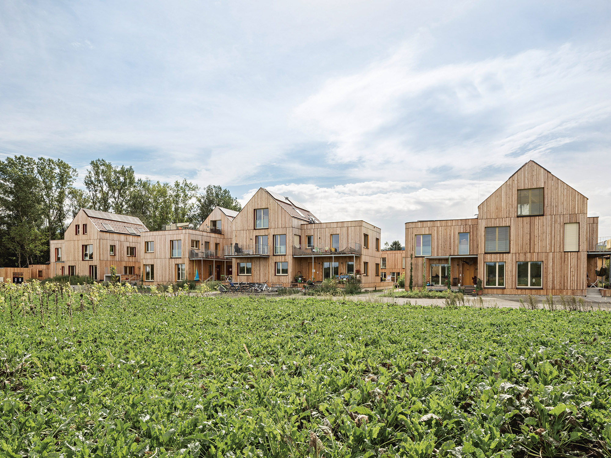 Buchtipp: Natur­baustoffe S M L