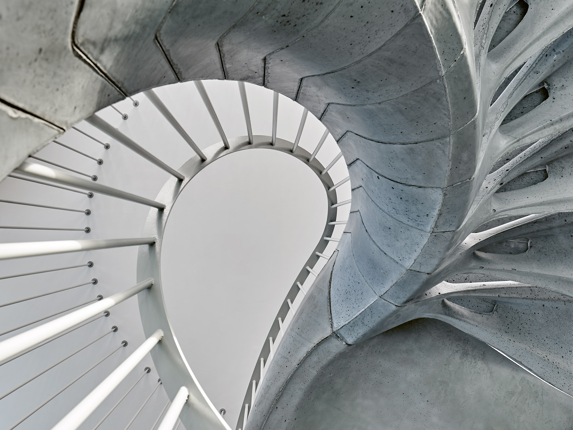 Editorial – Der Königsweg zu Netto-Null