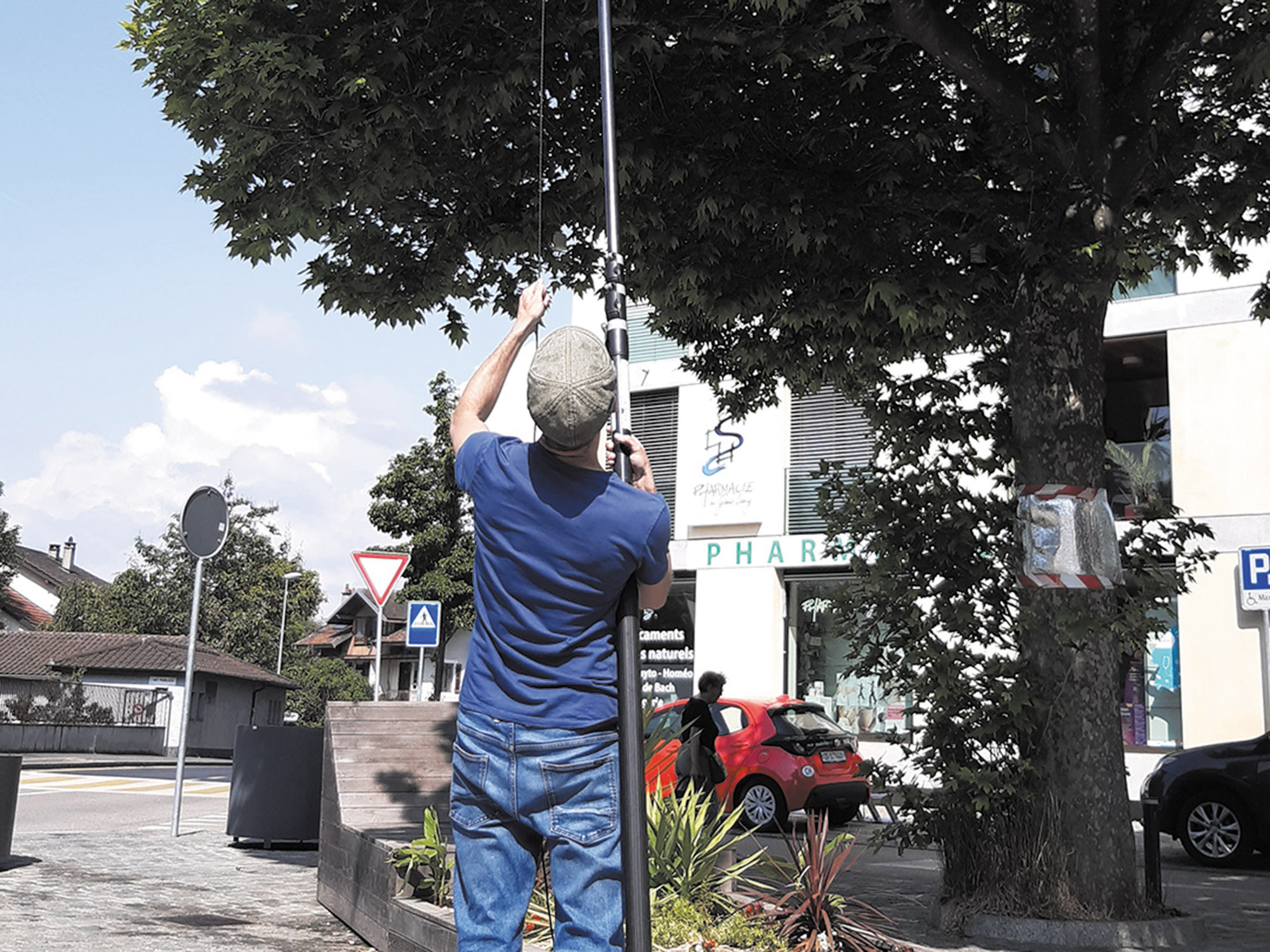 Stadtbäume sorgen auch bei extremer ­Hitze für Abkühlung