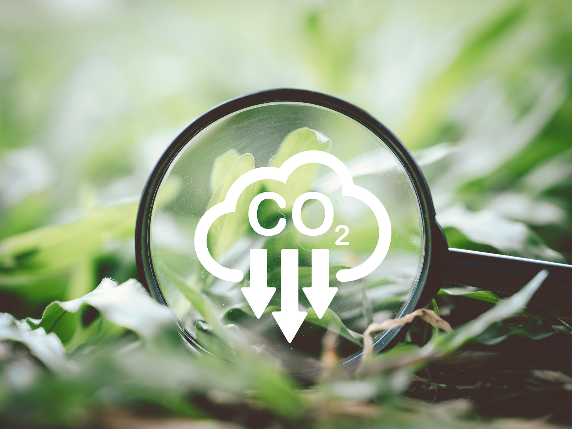 PUBLIREPORTAGE Carbon Tracker: Den CO2-Ausstoss Ihrer Produkte kennen